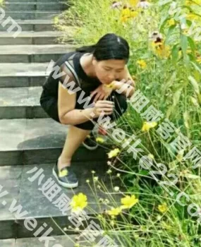 骚逼少妇，泻火专用，价格实惠